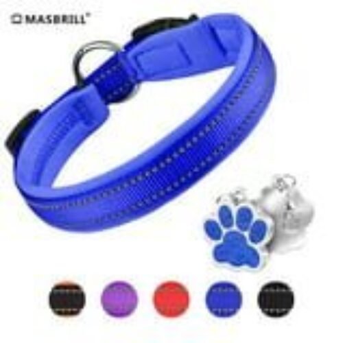 Downtown Pet Supply Deluxe Dog Collar – Padded Adjustable Dog Collar