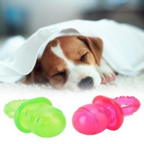 SPRING PARK 2Pcs Pet Pacifier Toy Dog Toy TPR Pacifier Grinding Teeth