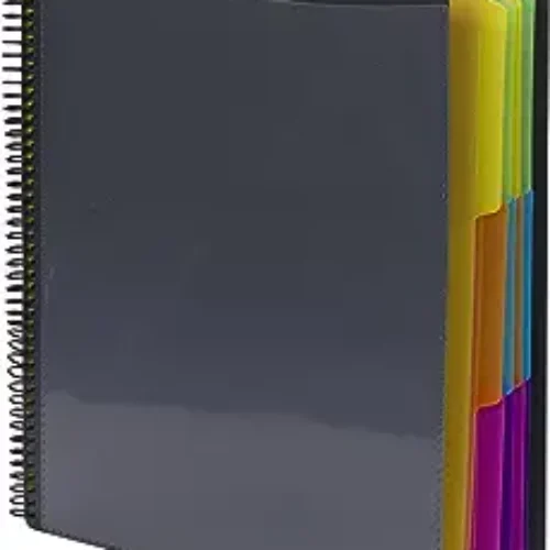 Smead Project Organizer, 24 Pockets, Grey with Assorted Bright Tabs, Tear Resistant Poly Material, 1/3-Cut Tabs, Letter Size (89206)